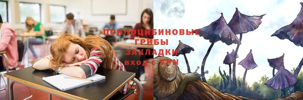 эйфоретик Белокуриха
