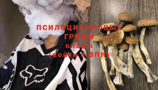 spice Белоозёрский