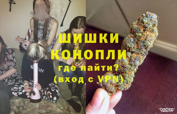 эйфоретик Белокуриха