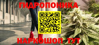 мескалин Кингисепп