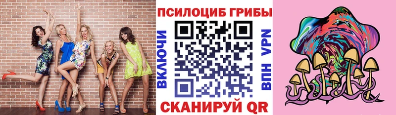 Галлюциногенные грибы мухоморы  даркнет сайт  Вязники 