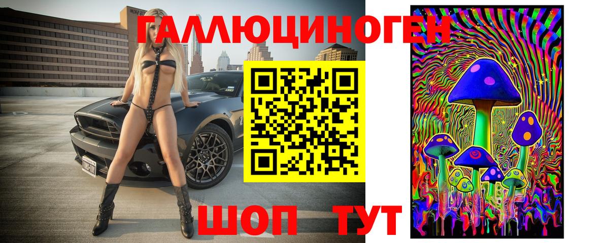 Вязники  Псилоцибиновые грибы Cubensis  закладки  Вход с VPN 